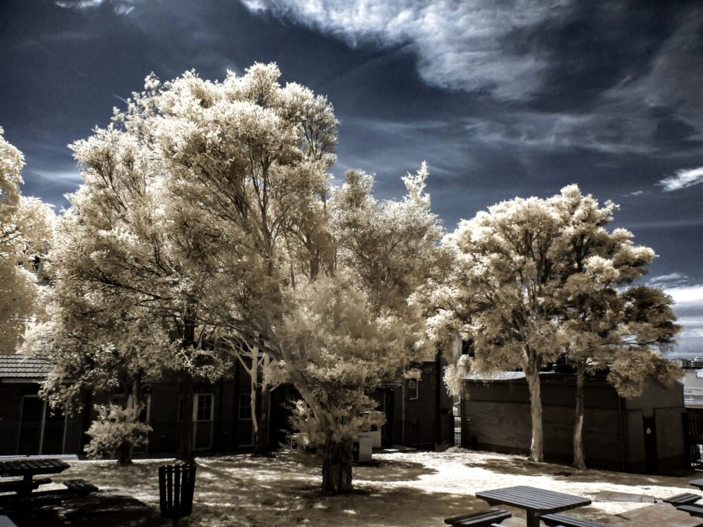 Campus in IR scaled
